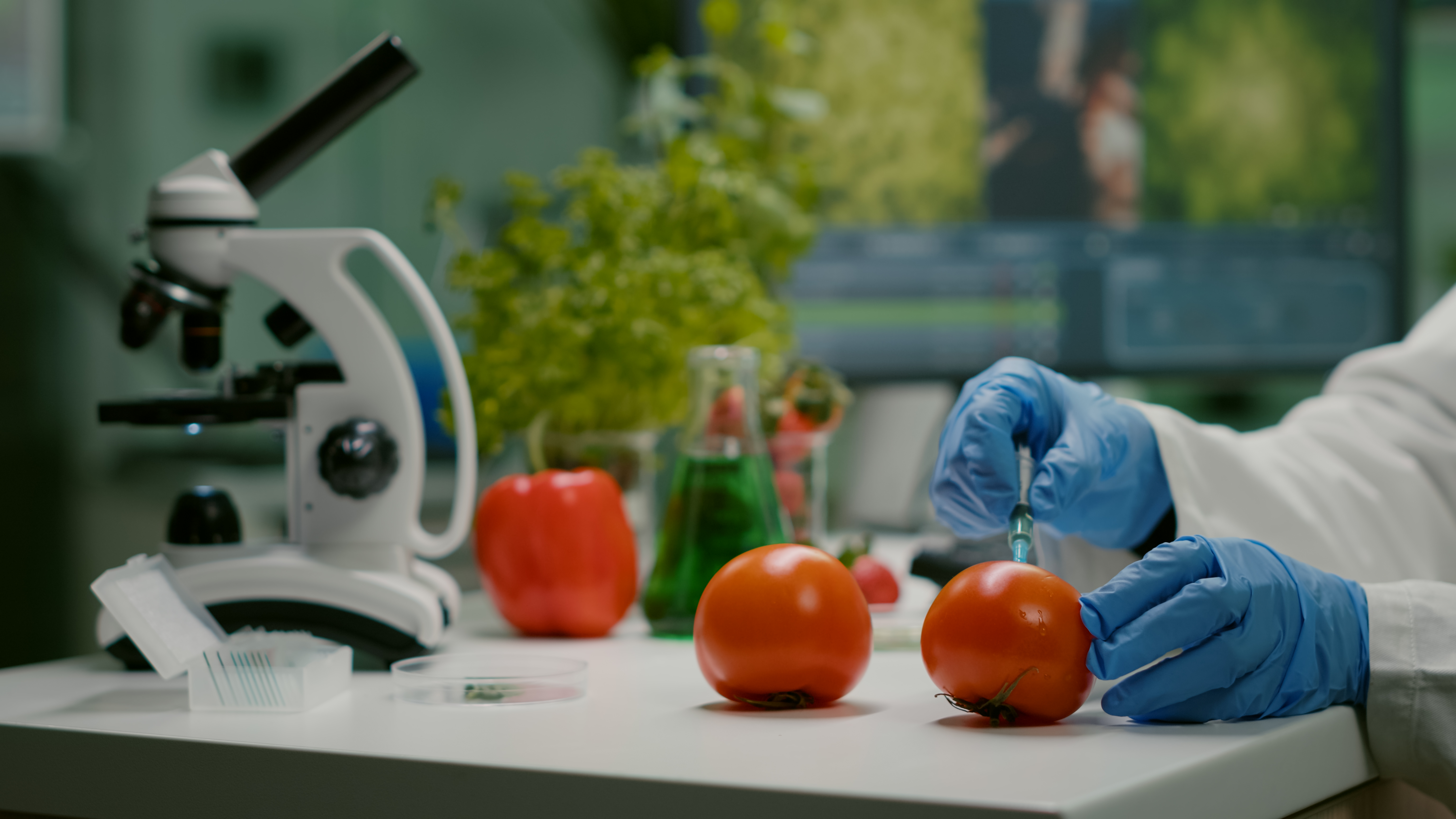 “Imagen representativa de la genética aplicada a los alimentos”.